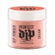 #2600230 Artistic Perfect Dip Coloured Powders ' Glow Get It ! ' ( Bright Coral Crème )  0.8 oz.